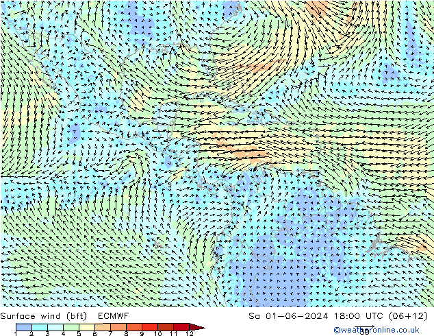 Surface wind (bft) ECMWF So 01.06.2024 18 UTC