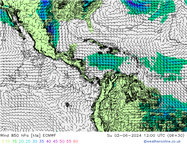 Rüzgar 850 hPa ECMWF Paz 02.06.2024 12 UTC