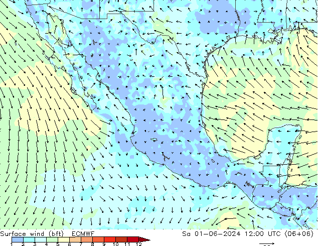 Surface wind (bft) ECMWF Sa 01.06.2024 12 UTC