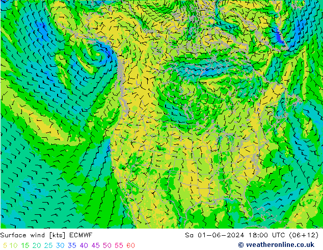 Surface wind ECMWF So 01.06.2024 18 UTC