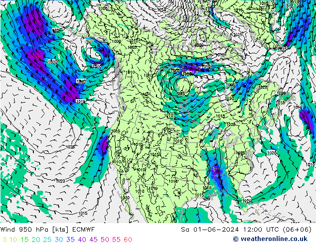 wiatr 950 hPa ECMWF so. 01.06.2024 12 UTC