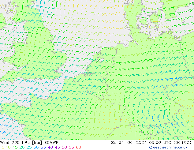 Wind 700 hPa ECMWF Sa 01.06.2024 09 UTC