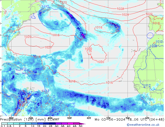 Yağış (12h) ECMWF Pzt 03.06.2024 06 UTC