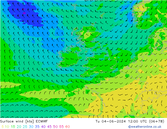 Surface wind ECMWF Tu 04.06.2024 12 UTC