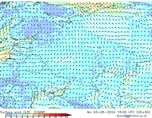 Rüzgar 10 m (bft) ECMWF Pzt 03.06.2024 18 UTC