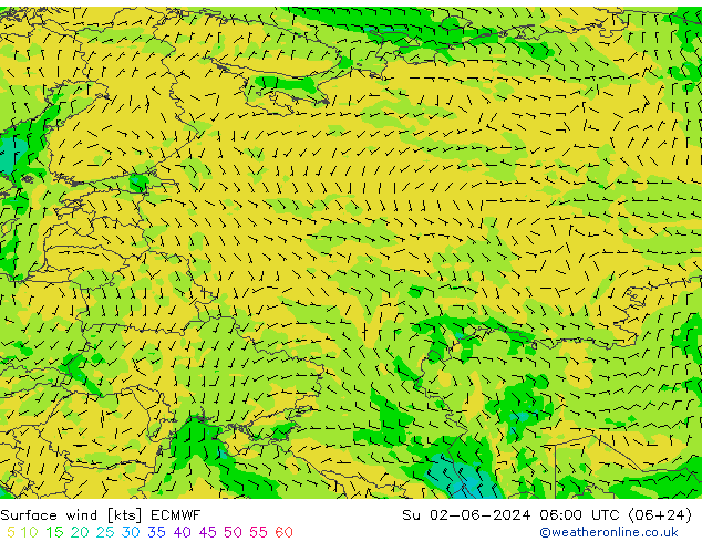 Prec 6h/Wind 10m/950 ECMWF Ne 02.06.2024 06 UTC