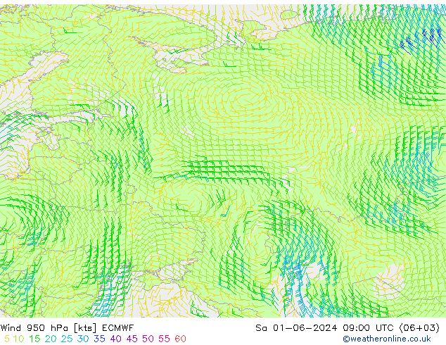 Rüzgar 950 hPa ECMWF Cts 01.06.2024 09 UTC