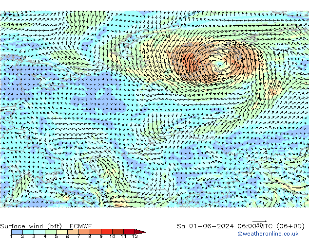 Surface wind (bft) ECMWF Sa 01.06.2024 06 UTC