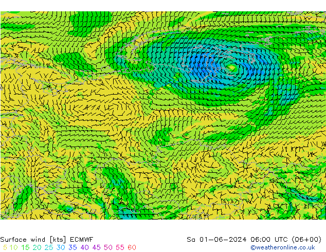 Surface wind ECMWF Sa 01.06.2024 06 UTC