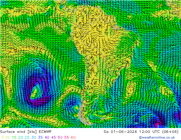 Surface wind ECMWF So 01.06.2024 12 UTC