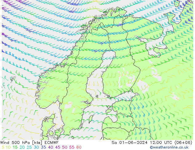 Wind 500 hPa ECMWF Sa 01.06.2024 12 UTC