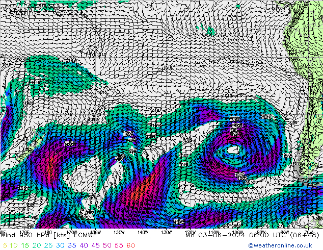 Wind 950 hPa ECMWF ma 03.06.2024 06 UTC