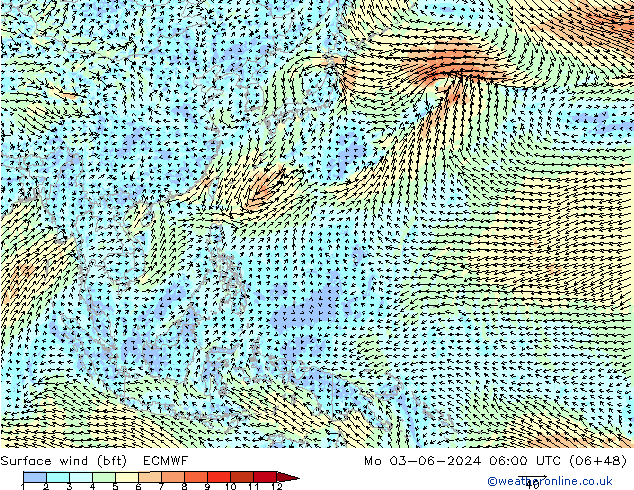 Wind 10 m (bft) ECMWF ma 03.06.2024 06 UTC