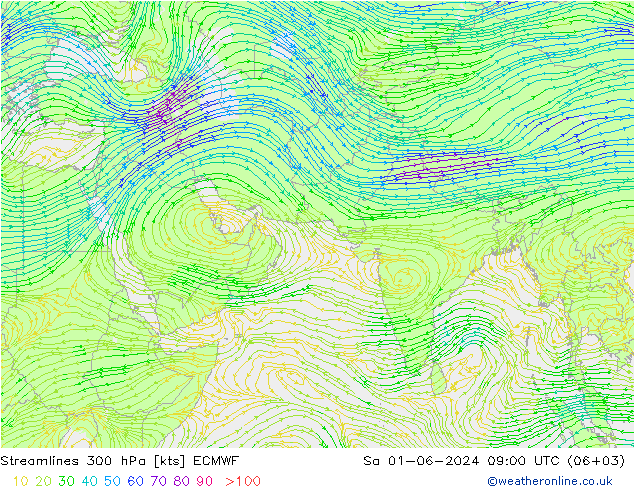 风 300 hPa ECMWF 星期六 01.06.2024 09 UTC