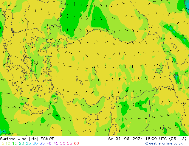 Surface wind ECMWF So 01.06.2024 18 UTC