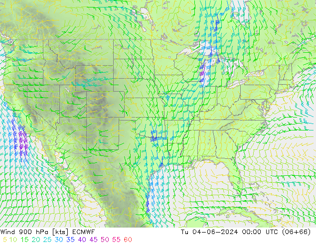 Vento 900 hPa ECMWF Ter 04.06.2024 00 UTC