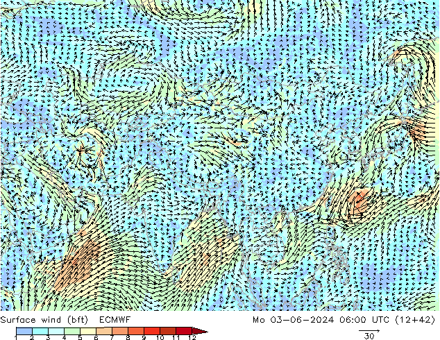 Surface wind (bft) ECMWF Mo 03.06.2024 06 UTC