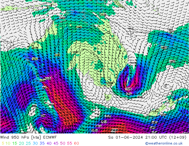 Viento 950 hPa ECMWF sáb 01.06.2024 21 UTC