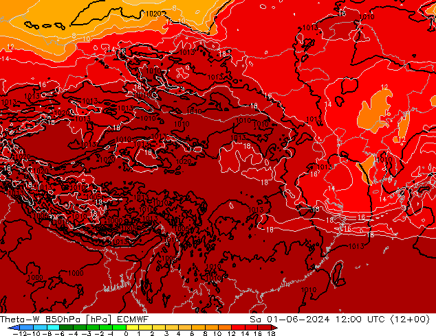 Theta-W 850hPa ECMWF So 01.06.2024 12 UTC