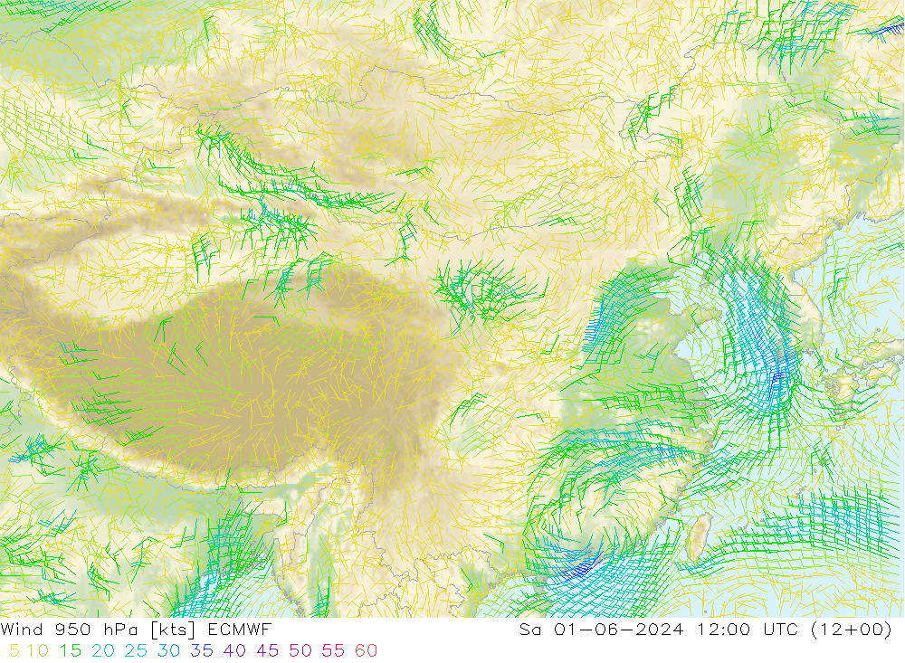 风 950 hPa ECMWF 星期六 01.06.2024 12 UTC