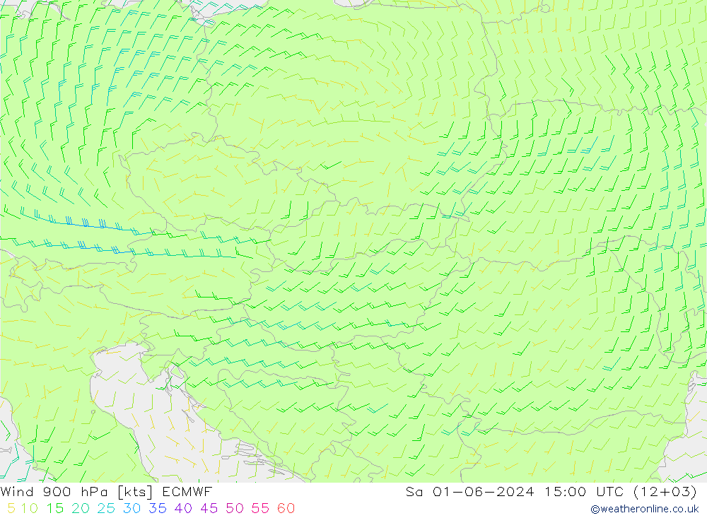 Wind 900 hPa ECMWF Sa 01.06.2024 15 UTC