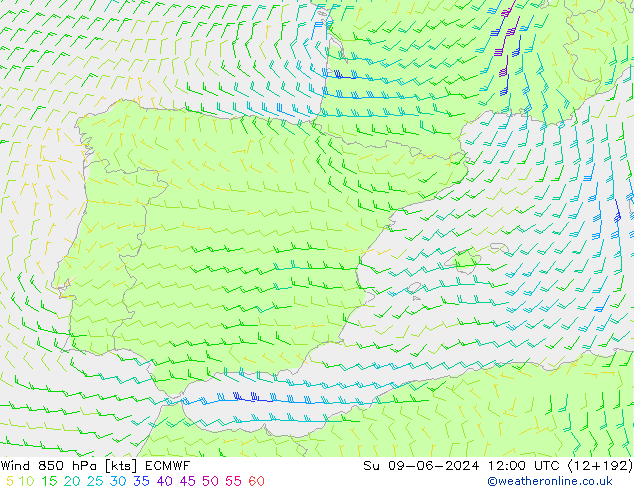 Wind 850 hPa ECMWF Su 09.06.2024 12 UTC