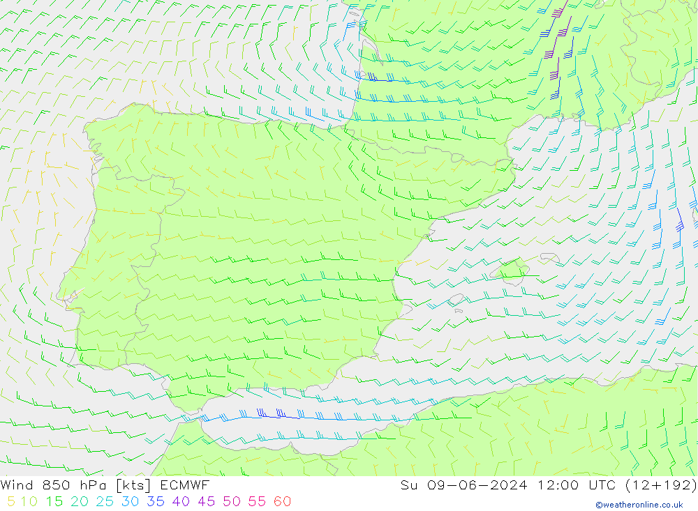 Wind 850 hPa ECMWF Su 09.06.2024 12 UTC