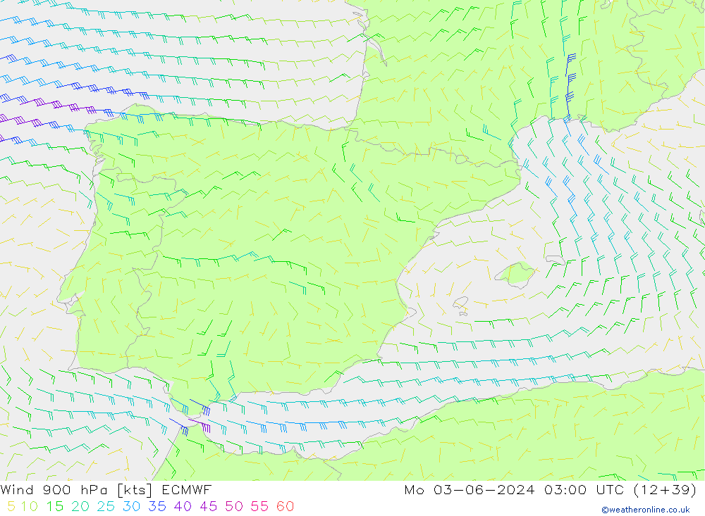 Wind 900 hPa ECMWF Mo 03.06.2024 03 UTC