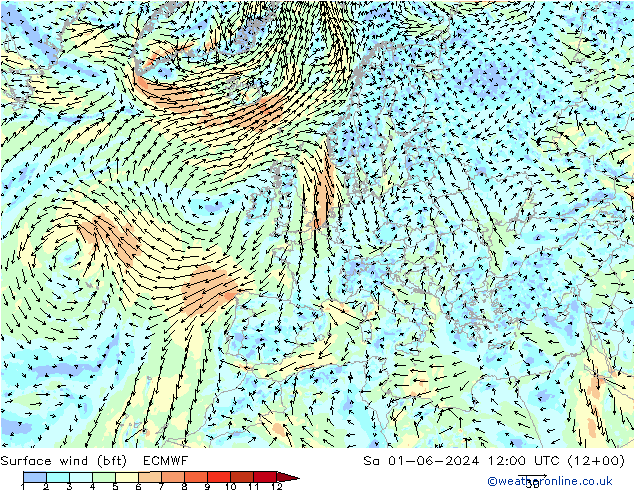 Rüzgar 10 m (bft) ECMWF Cts 01.06.2024 12 UTC