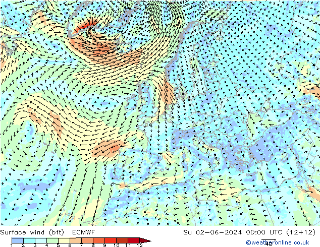 Surface wind (bft) ECMWF Ne 02.06.2024 00 UTC