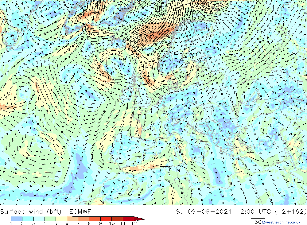 Viento 10 m (bft) ECMWF dom 09.06.2024 12 UTC