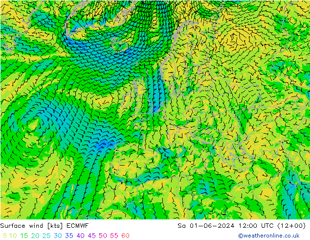 Vento 10 m ECMWF Sáb 01.06.2024 12 UTC