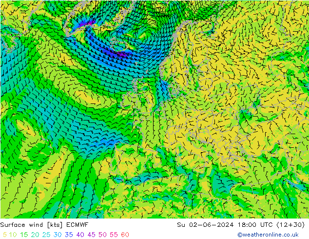 Surface wind ECMWF Ne 02.06.2024 18 UTC