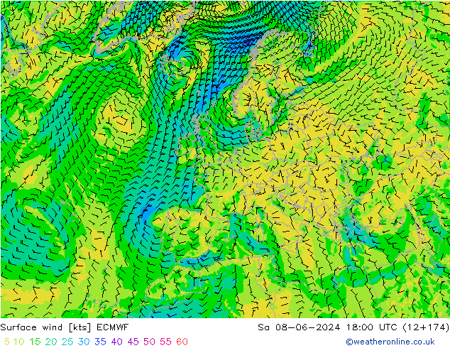 Surface wind ECMWF Sa 08.06.2024 18 UTC