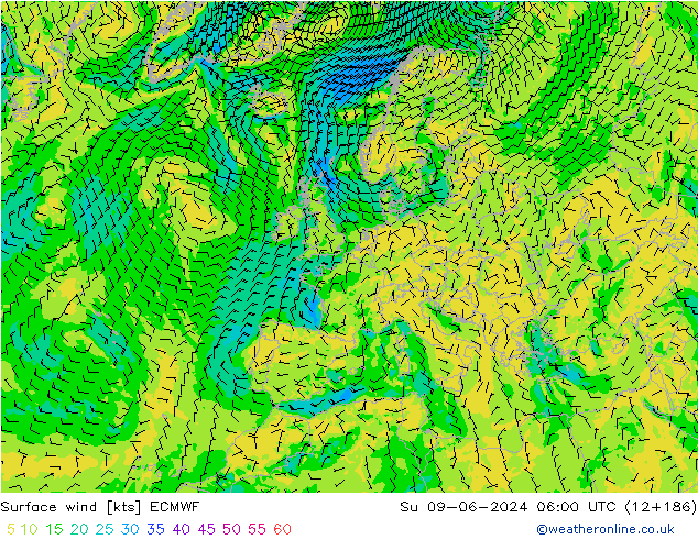 Wind 10 m ECMWF zo 09.06.2024 06 UTC