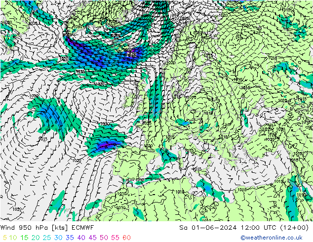 Viento 950 hPa ECMWF sáb 01.06.2024 12 UTC