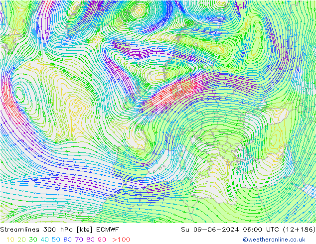 Streamlines 300 hPa ECMWF Su 09.06.2024 06 UTC