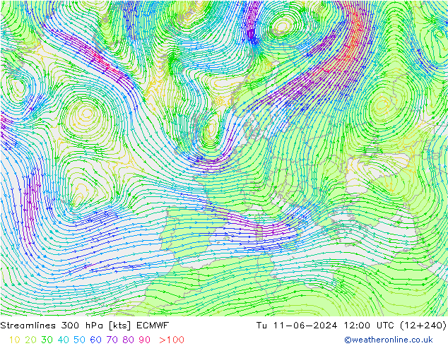 Rüzgar 300 hPa ECMWF Sa 11.06.2024 12 UTC