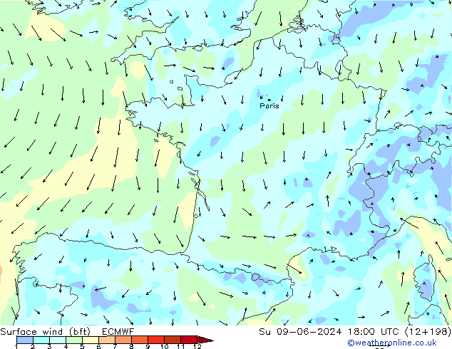 Surface wind (bft) ECMWF Su 09.06.2024 18 UTC