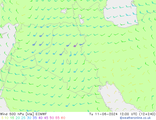 Rüzgar 500 hPa ECMWF Sa 11.06.2024 12 UTC