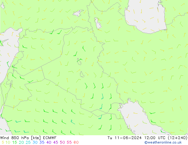 wiatr 850 hPa ECMWF wto. 11.06.2024 12 UTC