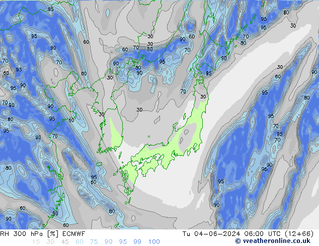 RH 300 hPa ECMWF mar 04.06.2024 06 UTC