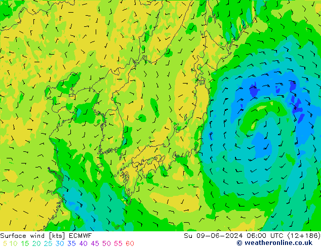 wiatr 10 m ECMWF nie. 09.06.2024 06 UTC