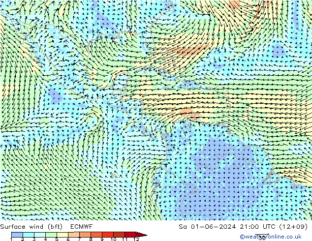 Surface wind (bft) ECMWF Sa 01.06.2024 21 UTC