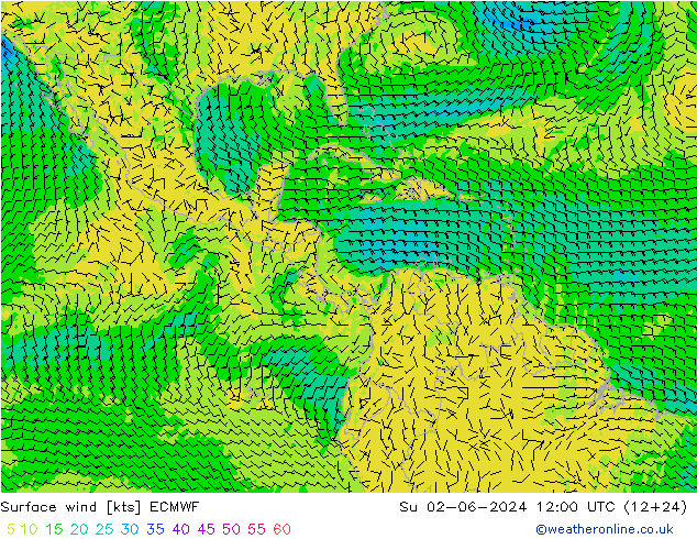 Surface wind ECMWF Su 02.06.2024 12 UTC