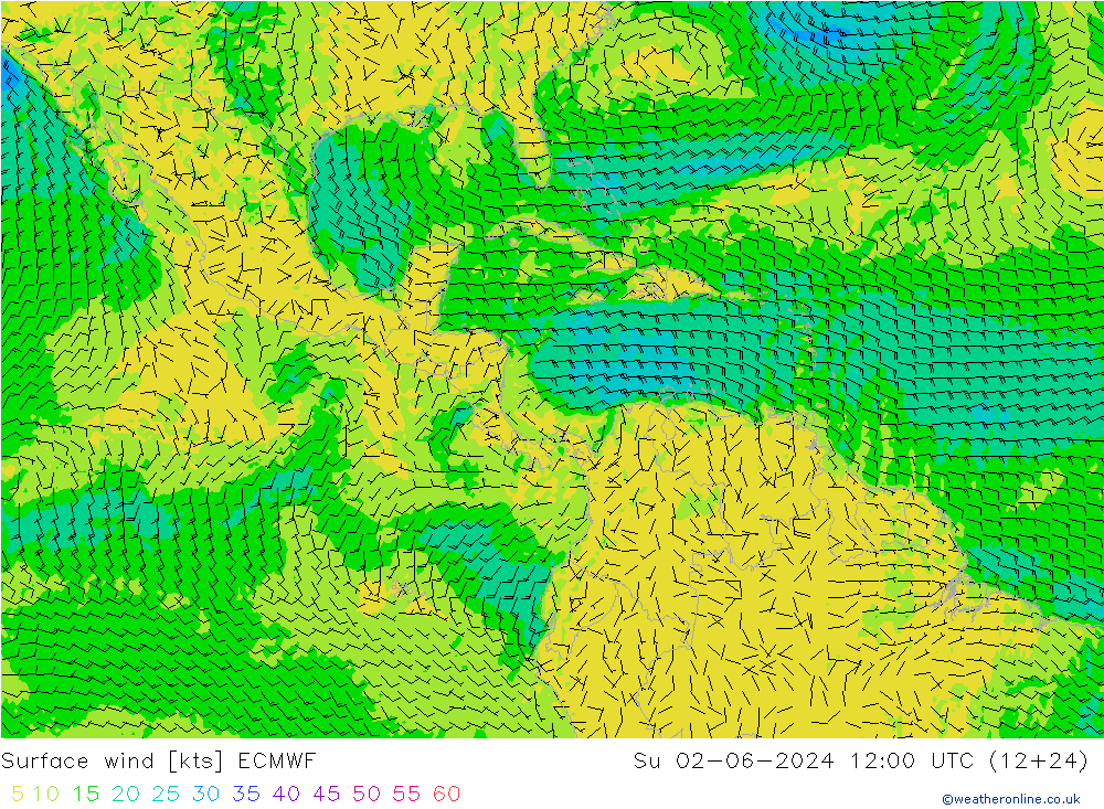 Vent 10 m ECMWF dim 02.06.2024 12 UTC