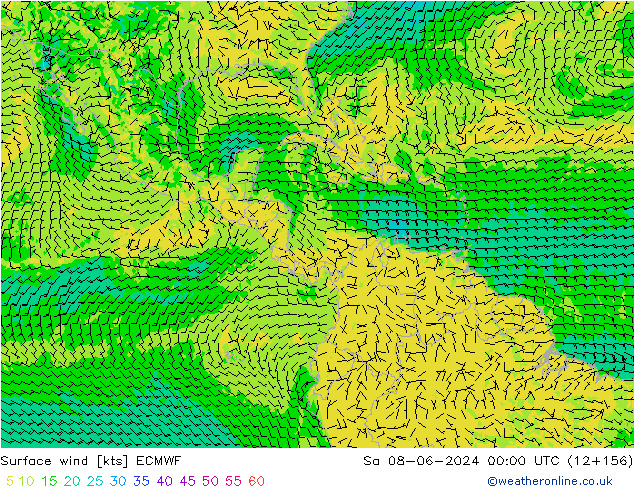 Wind 10 m ECMWF za 08.06.2024 00 UTC