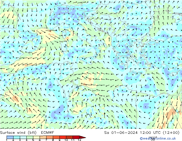 Surface wind (bft) ECMWF Sa 01.06.2024 12 UTC