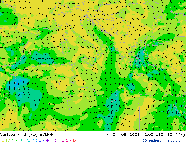 ветер 10 m ECMWF пт 07.06.2024 12 UTC