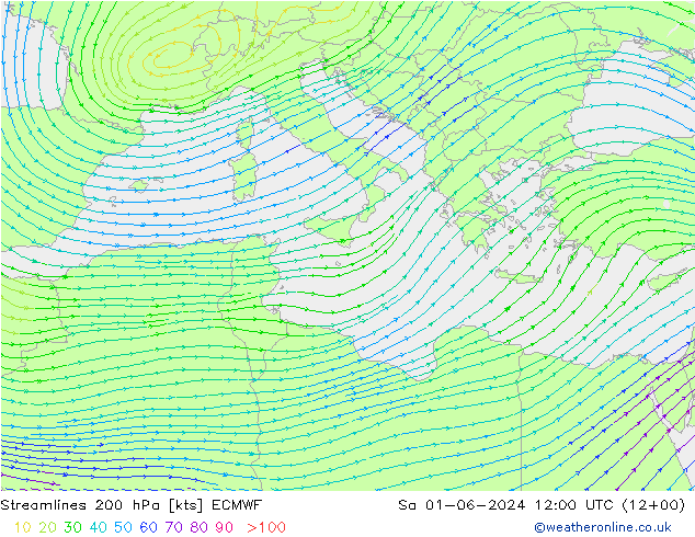 Linea di flusso 200 hPa ECMWF sab 01.06.2024 12 UTC